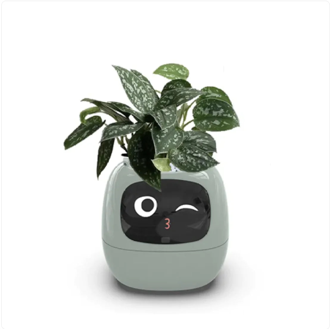 Smart Planter with 49 Expressions & AI Sensors